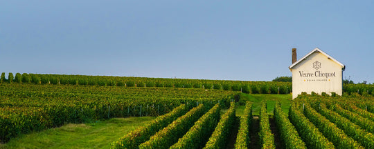 Die Geschichte des Weinguts Veuve Clicquot Ponsardin | 