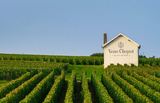 Das Weingut Veuve Clicquot